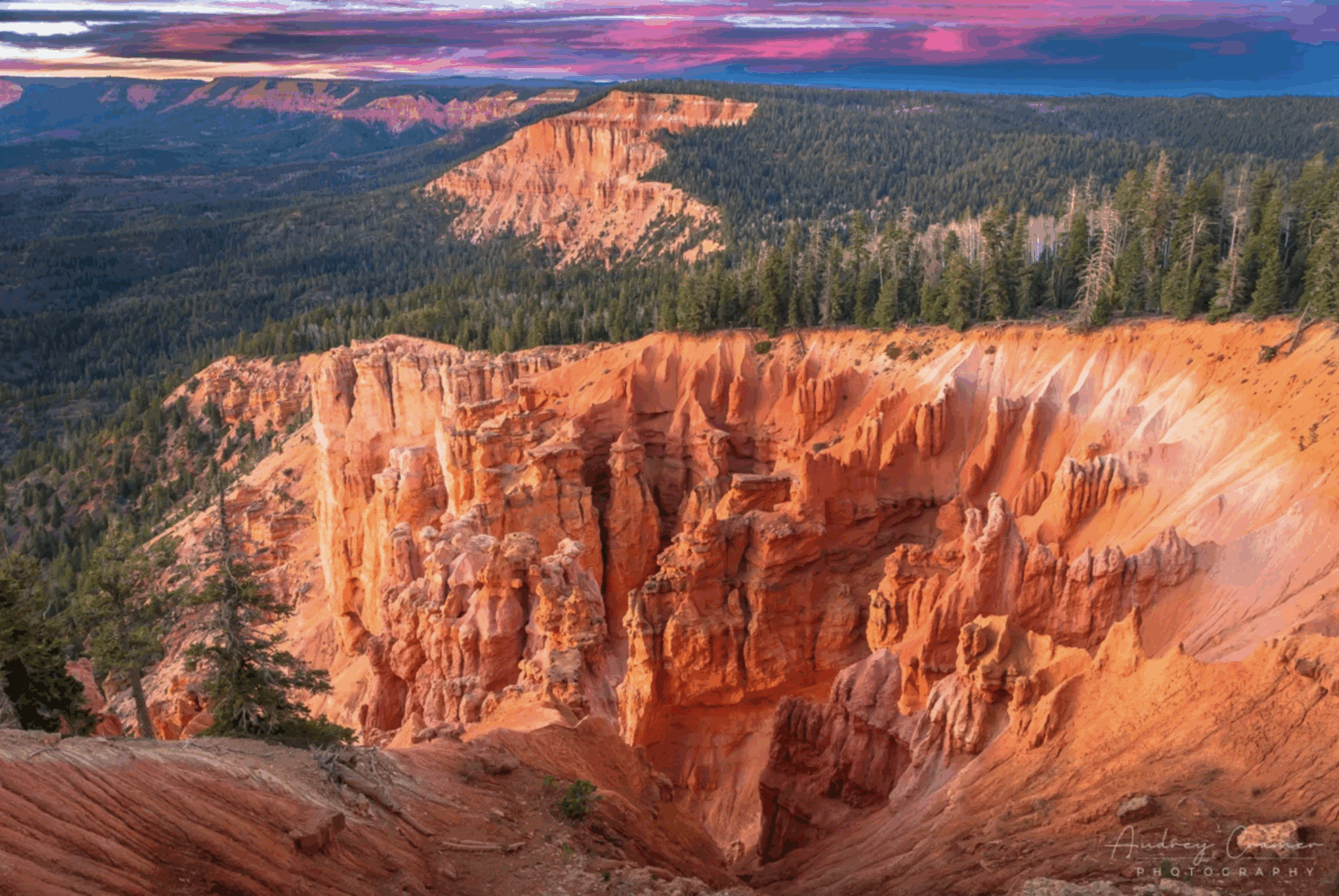 Nearby attractions Duck Creek Village